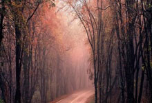 雷速体育官网:莫兰特30分压哨绝杀!灰熊终结热火6连胜 连超快船森林狼升第六.