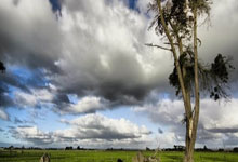 英超第30轮结束了所有比赛,最新积分榜如下!.