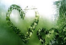 仅用时90秒!末节初追梦格林与波杰联手贡献6分助勇士打停鹈鹕.