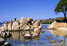 雷速体育官网:曝曼联接洽希腊17岁圣斗士!勇夺欧战冠军创造历史,皇马也感兴趣.